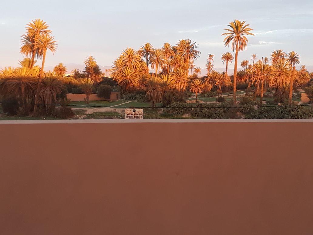 Riad Janoub Tiznit Bagian luar foto