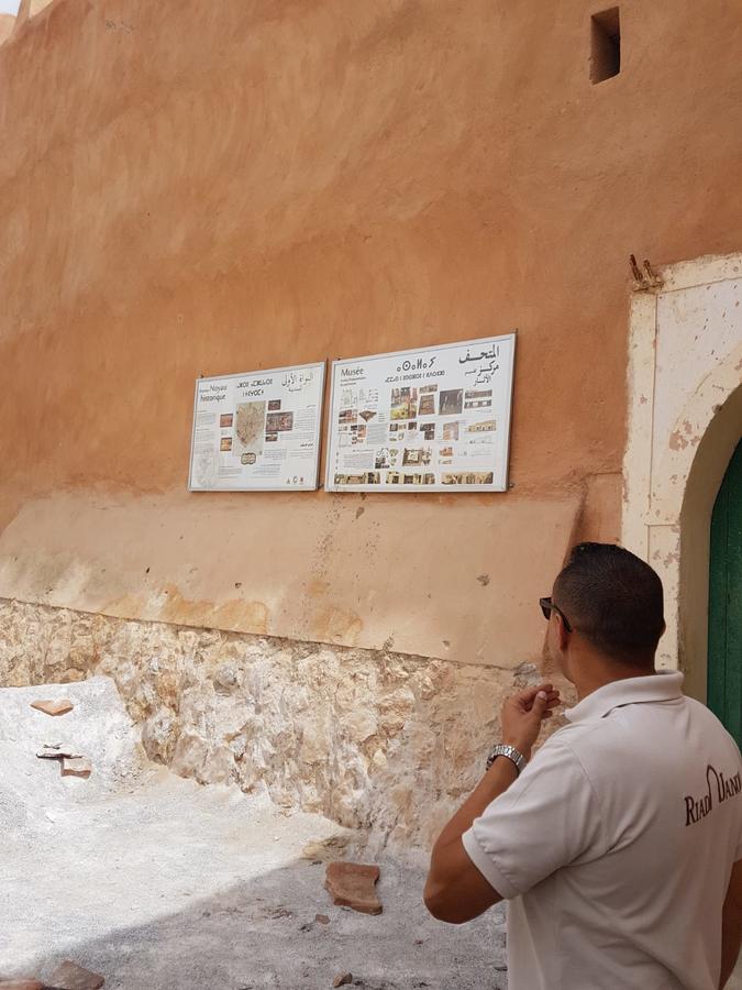 Riad Janoub Tiznit Bagian luar foto